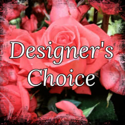Designer's Choice