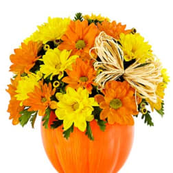 Orange and yellow daisy bouquet in a pumpkin-shaped vase