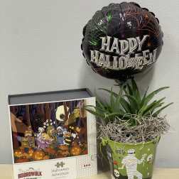 Lil Mummy Plant Chocolates Trio