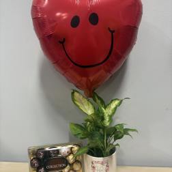 Love Planter & Chocolates Trio