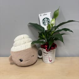 Potted peace lily in a mug beside a plush coffee cup toy