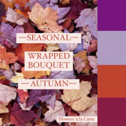 Designer’s Choice - Autumn Wrap