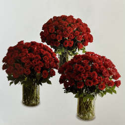 Three red rose arrangements in clear glass vases