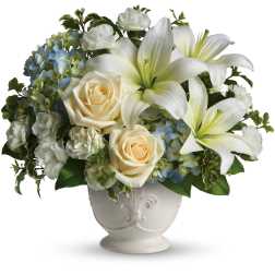 Beautiful Dreams by Teleflora