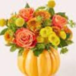 Gourdgeous Pumpkin