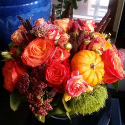 Floral Harvest