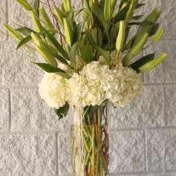 Graceful White Lilies