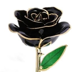 Black rose-shaped pin with a green leaf
