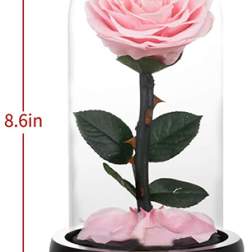 Pink rose under a glass dome on a black base