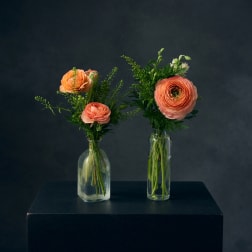 Two small floral arrangements in glass bottles with peach blooms