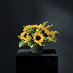 Sunflower Field