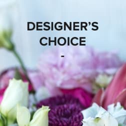 Designer's Choice