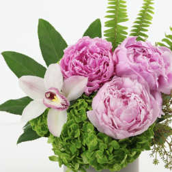 Pink peonies with a white orchid in a vase