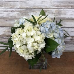 White and pale blue hydrangea arrangement in a clear square vase
