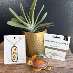 Potted succulent with jewelry and temporary tattoo packaging