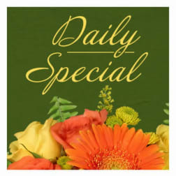 Orange and yellow flowers beneath "Daily Special" text on a green background
