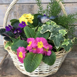 Basket of colorful potted flowers and foliage with a small bird decoration