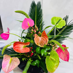 Tropical arrangement with colorful anthuriums and palm fronds in a black container