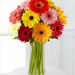 Colorful gerbera daisy bouquet in a clear glass vase