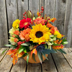 Mixed autumn bouquet with sunflowers, gerbera daisies, and orange roses in a pumpkin vase