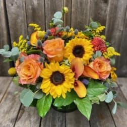 Bouquet of sunflowers, peach roses, and orange calla lilies in a low vase