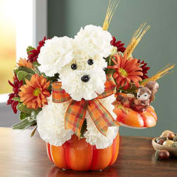 White floral dog arrangement in a pumpkin-shaped container with orange daisies
