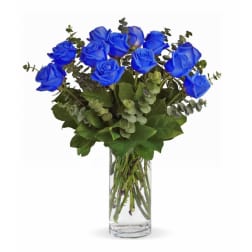 JUST BECAUSE-BLUE ROSES