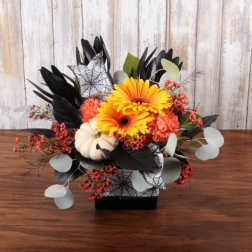 Halloween-themed arrangement with orange gerbera daisies, carnations and a white pumpkin in a square container