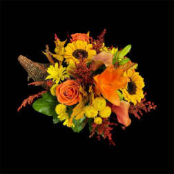 Cornucopia