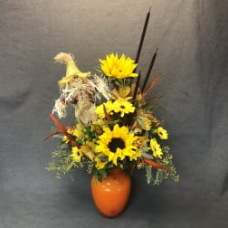 Sunny Scarecrow