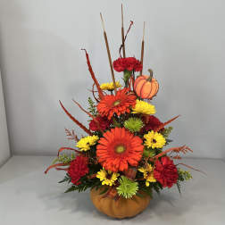 Fall Beauty
