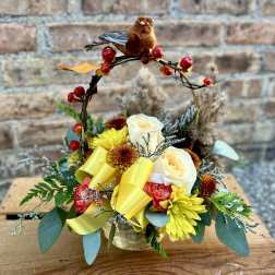Fall Bird Song