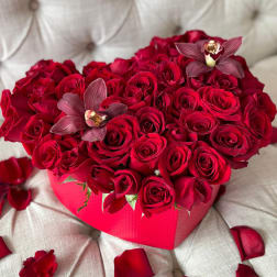 RED HEART BOX ORCHIDS