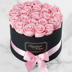 Pink roses arranged in a round black box with a pink ribbon bow