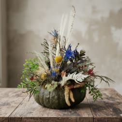Pumpkin arrangement with dried flowers and blue accents