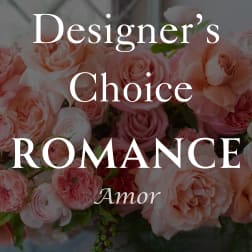 Pink and peach roses with the words "Designer’s Choice Romance Amor" overlaid