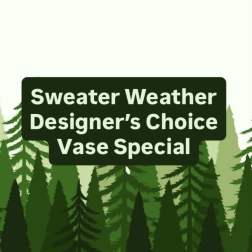 Graphic with text over illustrated evergreen trees