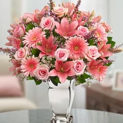 Dazzle Her Day (Silver Vase Not Available)