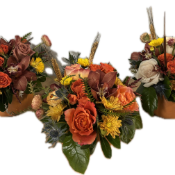Three autumn floral arrangements with orange and cream roses in low containers