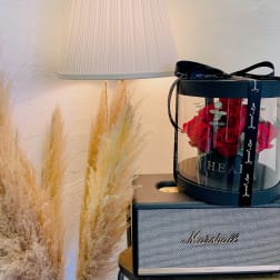 Red roses in a round gift box on a speaker, with pampas grass nearby.