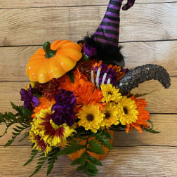 Halloween Fun