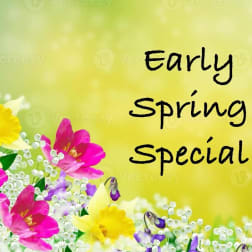 Maricopa Florist Flower Delivery by Cotton Blossom Flower Shop