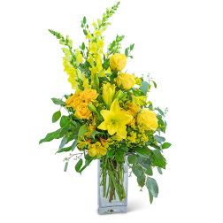スーパーセール 50％（福袋 Sundazed in Camden, NJ | Flowers by Mendez & Jackel スーツ・フォーマル・ドレス
