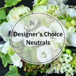Premium - Designer's Choice - Neutrals