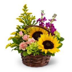 Colorful sunshine basket