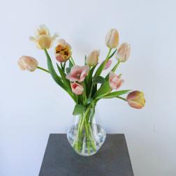 Tulip Mix