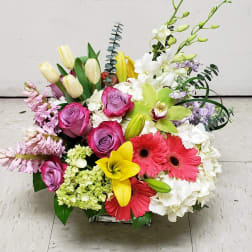 [TT-ARR161]: PENTAGON CITY BY TWIN TOWERS FLORIST IN ARLINGTON VA