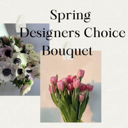 Spring designers choice in a