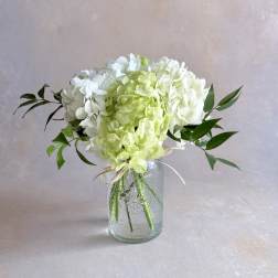 Simply Spring Hydrangeas