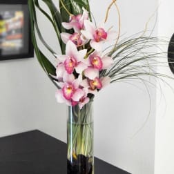 Unforgettable Orchids